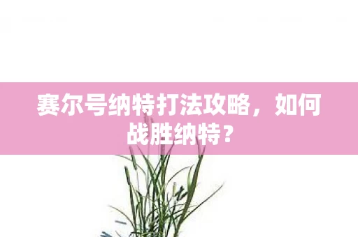 赛尔号纳特打法攻略图片
