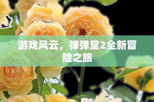 弹弹堂2全新冒险之旅图片
