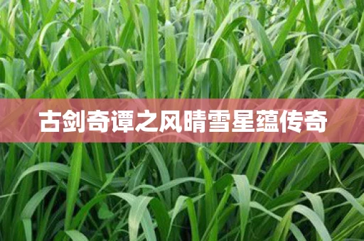 古剑奇谭之风晴雪星蕴传奇图片