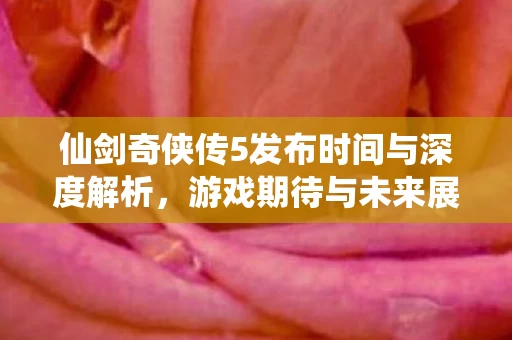 仙剑奇侠传5发布时间与深度解析图片
