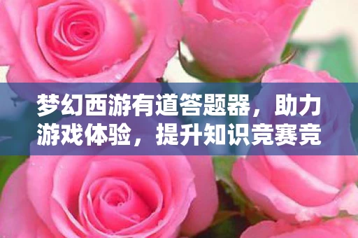 梦幻西游有道答题器图片