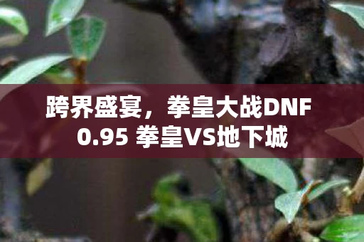 95 拳皇VS地下城图片