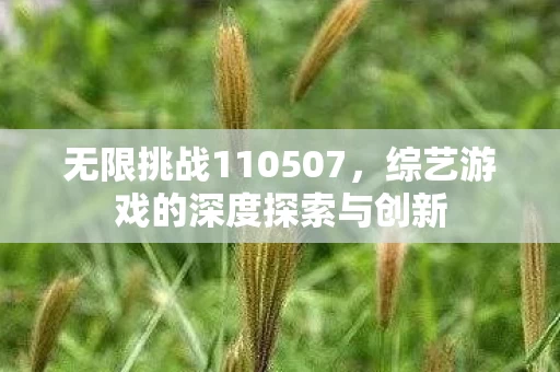 综艺游戏的深度探索与创新图片