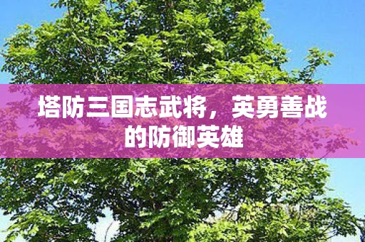 英勇善战的防御英雄图片