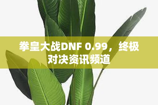 拳皇大战DNF 0图片