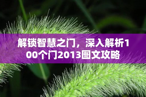 深入解析100个门2013图文攻略图片