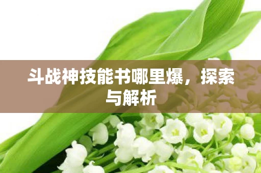 斗战神技能书哪里爆图片