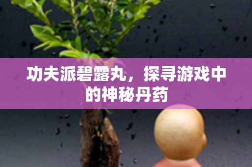 探寻游戏中的神秘丹药图片