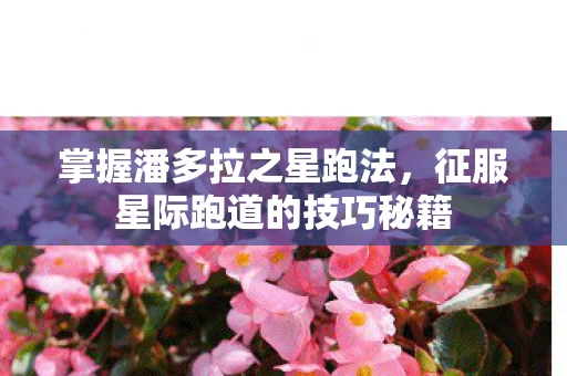 征服星际跑道的技巧秘籍图片