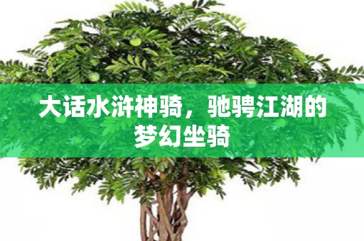 驰骋江湖的梦幻坐骑图片