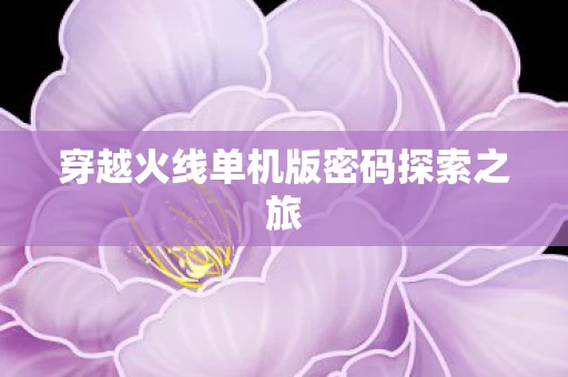 穿越火线单机版密码探索之旅图片