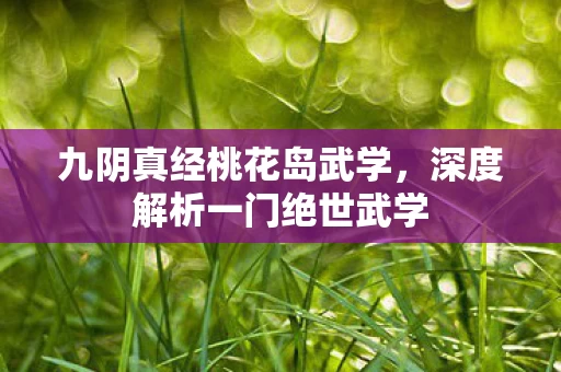 深度解析一门绝世武学图片