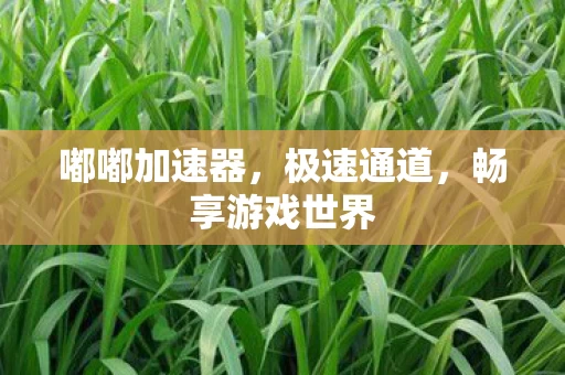 畅享游戏世界图片
