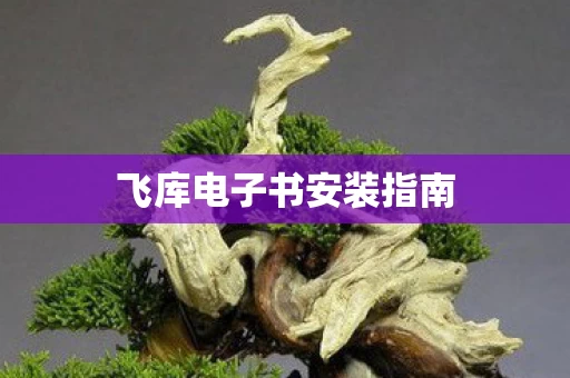 飞库电子书安装指南图片