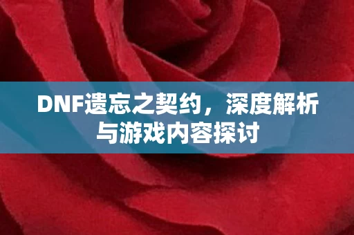 深度解析与游戏内容探讨图片