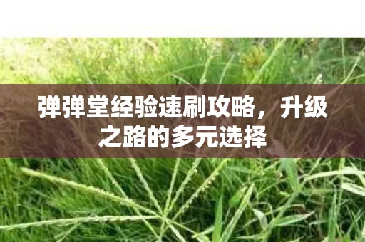 弹弹堂经验速刷攻略图片
