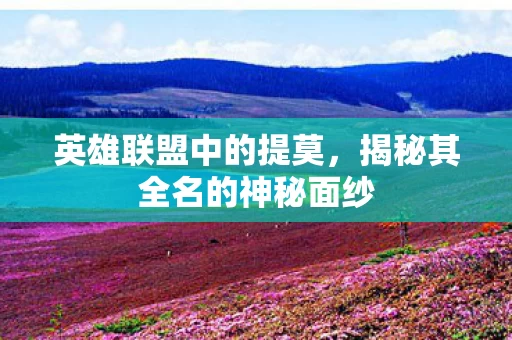 揭秘其全名的神秘面纱图片