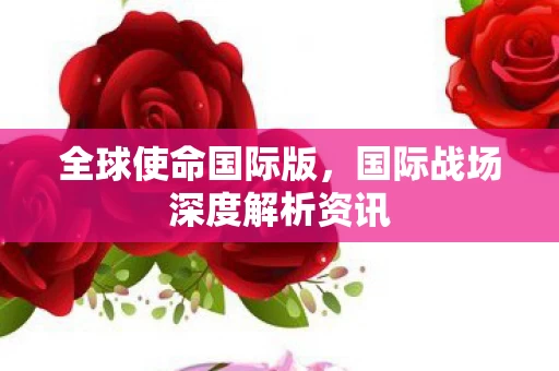 国际战场深度解析资讯图片