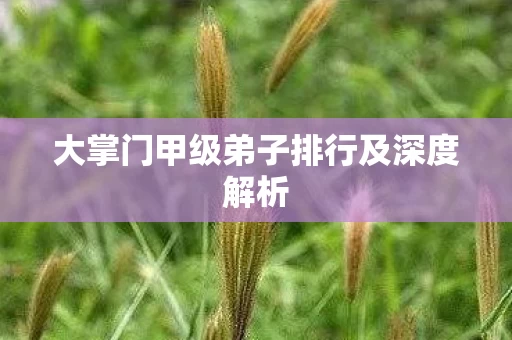 大掌门甲级弟子排行及深度解析图片