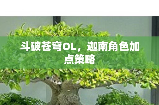 迦南角色加点策略图片