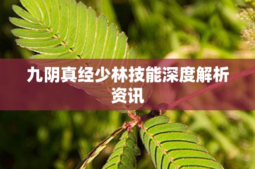 九阴真经少林技能深度解析资讯图片