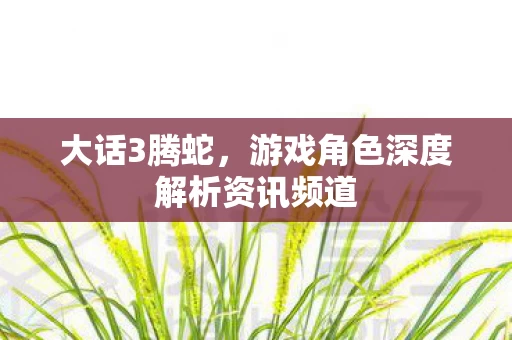 游戏角色深度解析资讯频道图片
