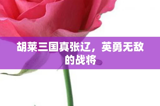 胡莱三国真张辽图片
