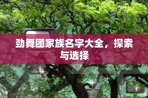劲舞团家族名字大全图片