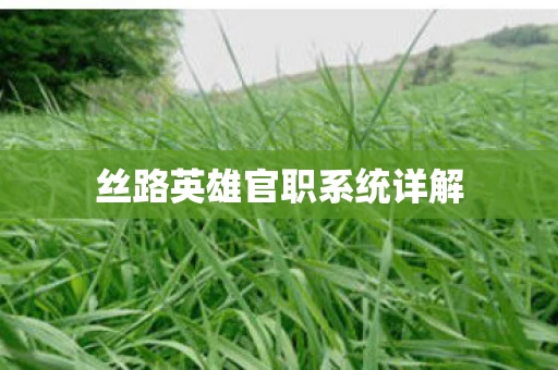 丝路英雄官职系统详解图片