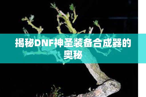 揭秘DNF神圣装备合成器的奥秘图片
