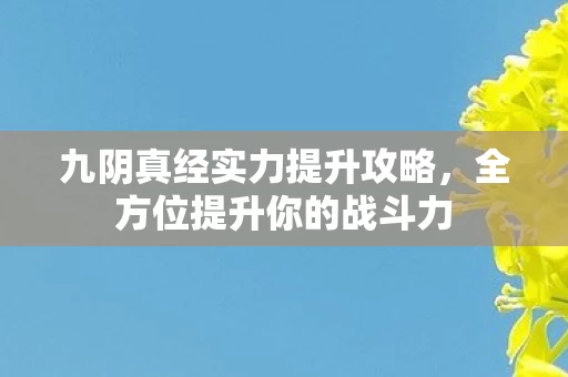 九阴真经实力提升攻略,全方位提升你的战斗力 九阴真经实力提升攻略,全方位提升你的战斗力