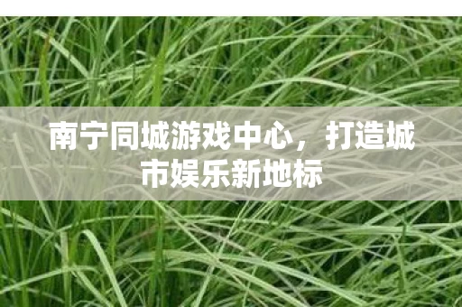 南宁同城游戏中心,打造城市娱乐新地标 南宁同城游戏中心,打造城市娱乐新地标