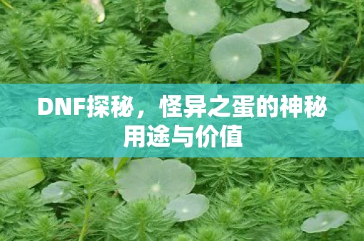 怪异之蛋的神秘用途与价值图片