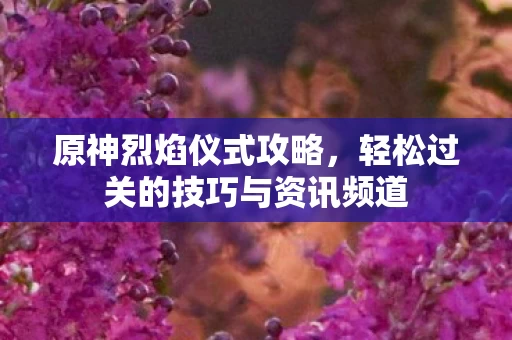 轻松过关的技巧与资讯频道图片