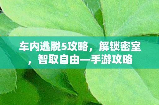 车内逃脱5攻略图片