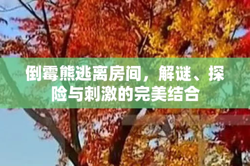 探险与刺激的完美结合图片