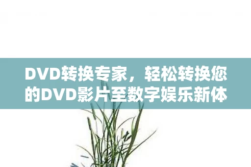 轻松转换您的DVD影片至数字娱乐新体验图片