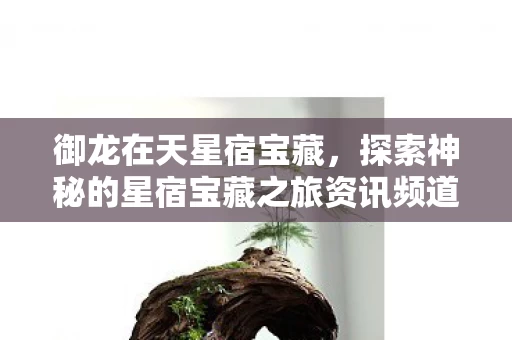 御龙在天星宿宝藏,探索神秘的星宿宝藏之旅资讯频道 御龙在天星宿宝藏,探索神秘的星宿宝藏之旅资讯频道