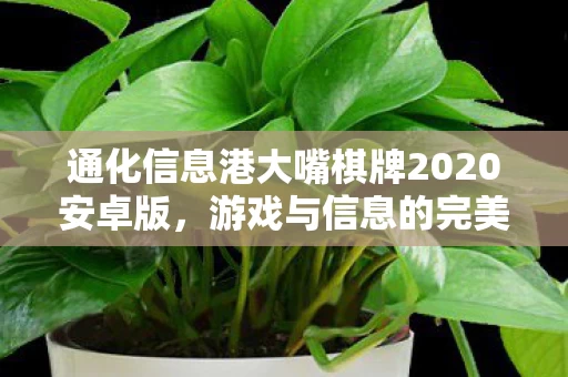 通化信息港大嘴棋牌2020安卓版图片