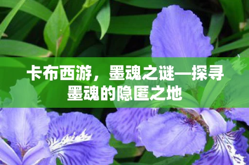 探寻墨魂的隐匿之地图片