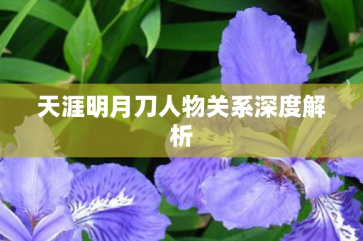 天涯明月刀人物关系深度解析