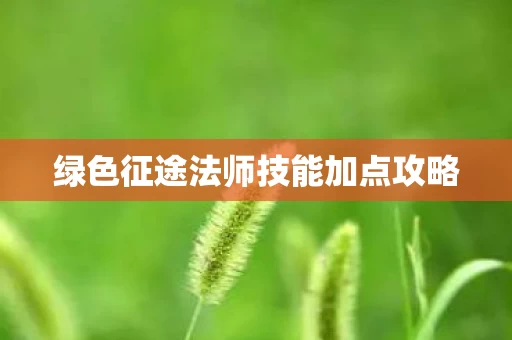 绿色征途法师技能加点攻略图片
