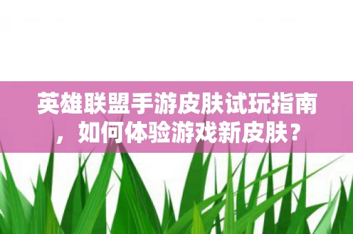 英雄联盟手游皮肤试玩指南图片