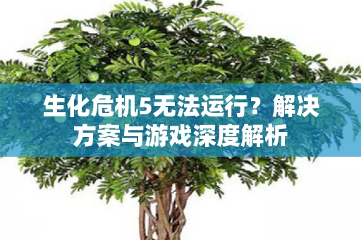 解决方案与游戏深度解析图片