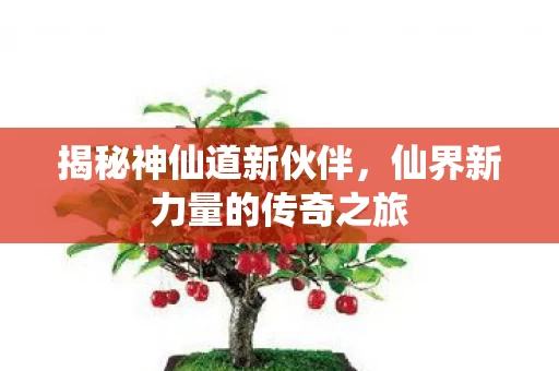 仙界新力量的传奇之旅图片