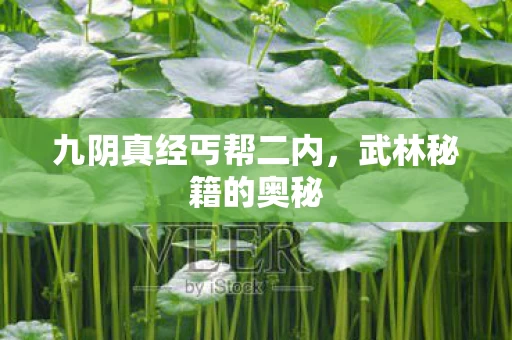 九阴真经丐帮二内图片