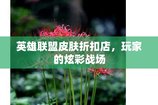 英雄联盟皮肤折扣店图片