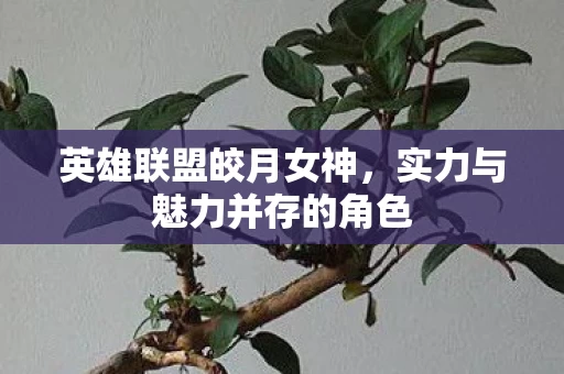 实力与魅力并存的角色图片