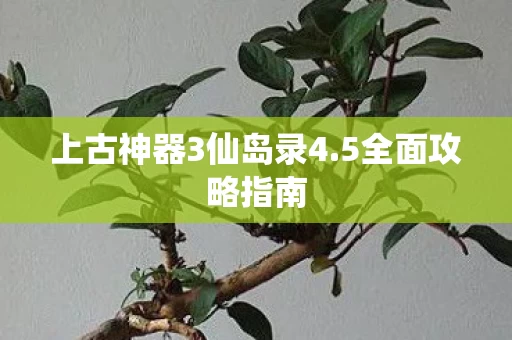 上古神器3仙岛录4图片