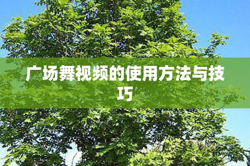 广场舞视频的使用方法与技巧图片